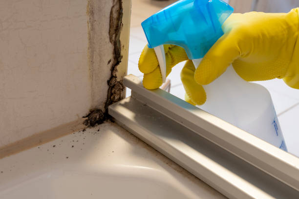 Best Home Mold Removal  in Griffin, GA