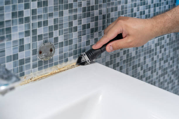 Trusted Griffin, GA Mold Removal Experts
