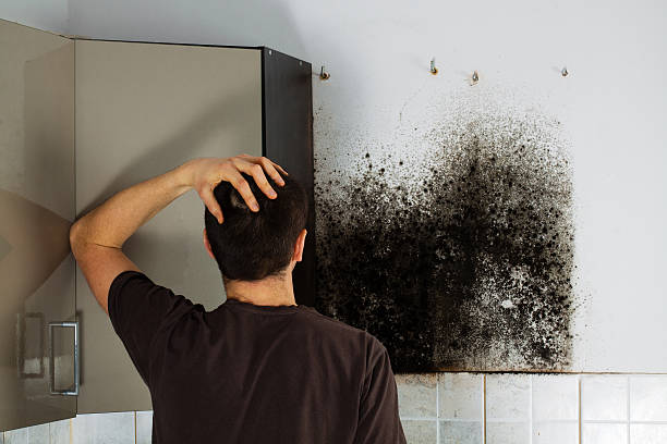 Best Professional Mold Removal  in Griffin, GA
