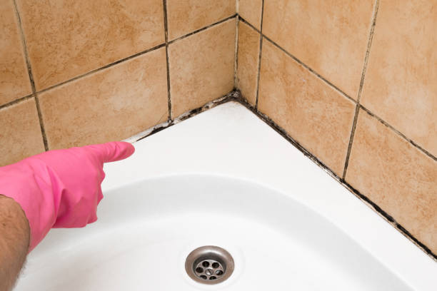 Best Fast Mold Removal  in Griffin, GA